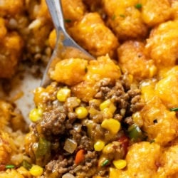 A labeled picture of Tater Tot Casserole with a spoon scooping it up.